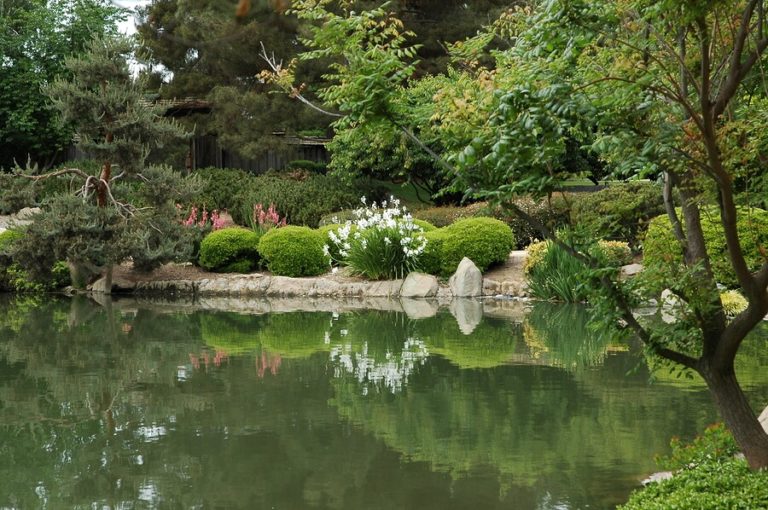 https://www.totalmed.com/ee/page-uploads/bigstock-Shinzen-Garden-4917792-1-768x510-1.jpg