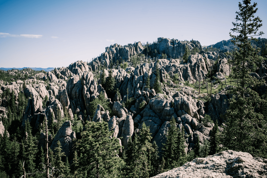 Image of jagged, rock formations in Custer State Park, South Dakota