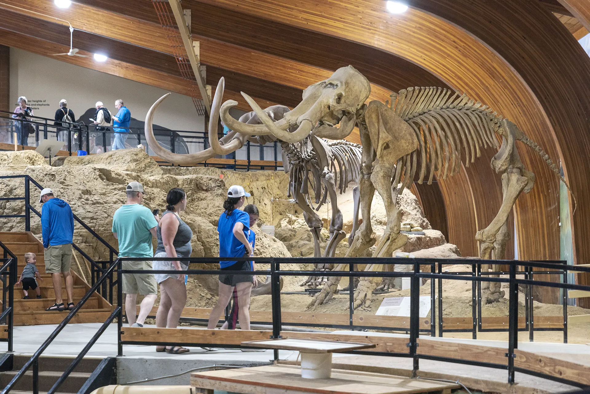 image of a group of people looking at a mammoth fossil in South Dakota